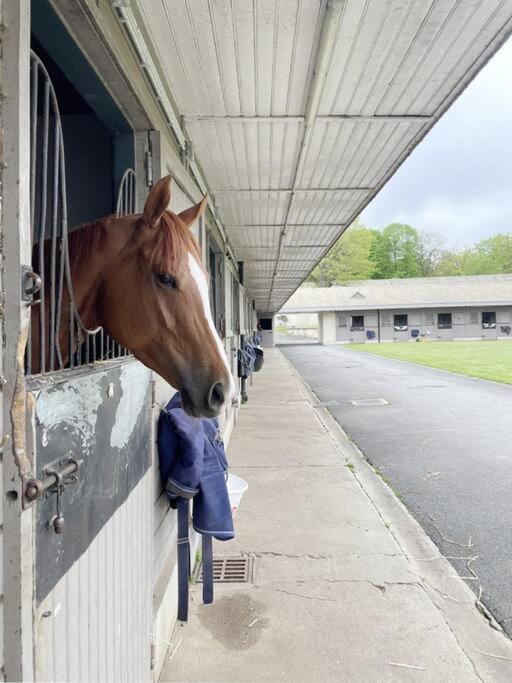 Paddock Prestige By La Boite En Plus Chantilly Zewnętrze zdjęcie